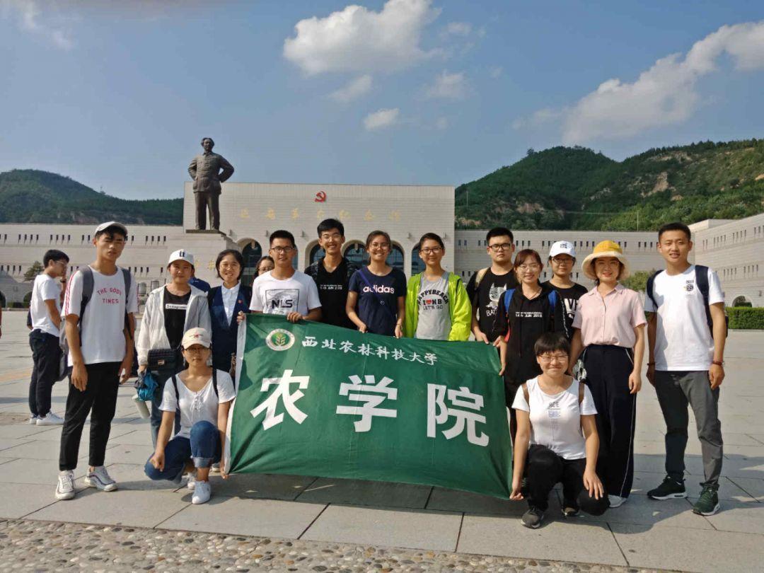 专注解答,大家觉得 周瑜和陆逊 哪个聪明全搜罗